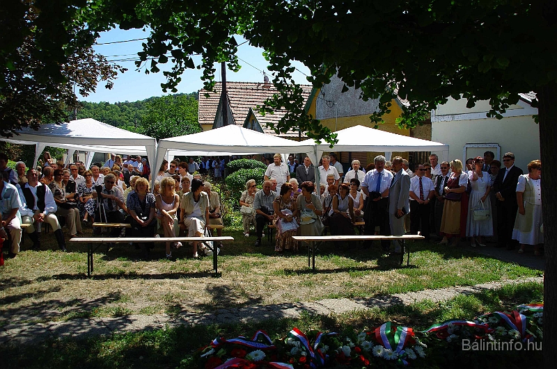 koszoruzas_2009_007.jpg