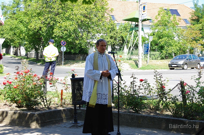 koszoruzas_2009_018.jpg