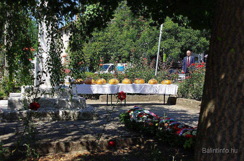 koszoruzas_2009_021.jpg