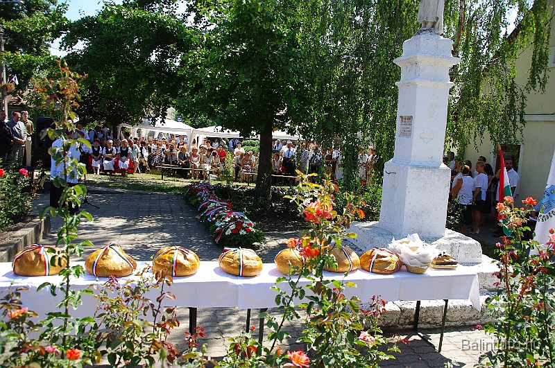 koszoruzas_2009_028.jpg