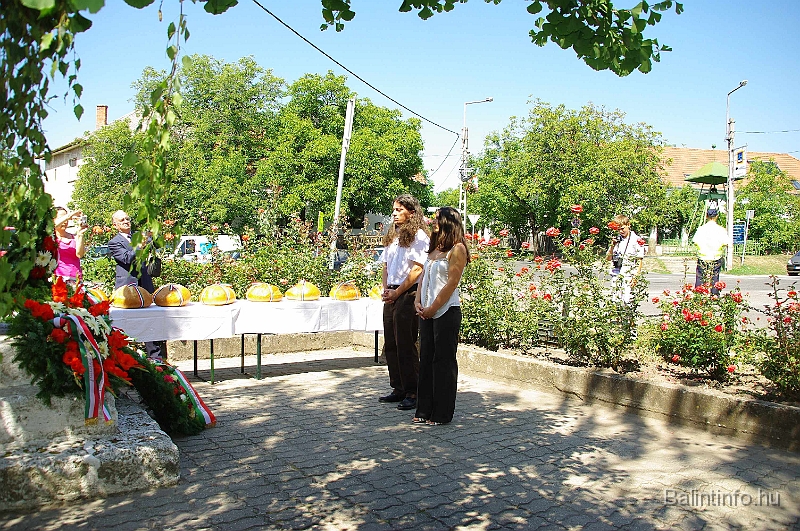 koszoruzas_2009_034.jpg