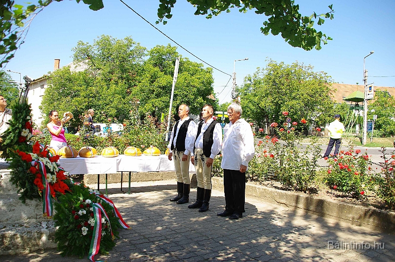 koszoruzas_2009_036.jpg