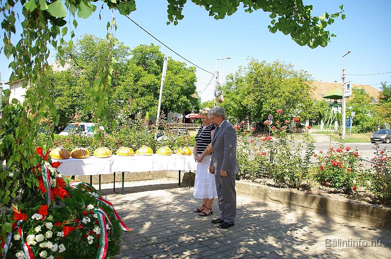 koszoruzas_2009_042.jpg