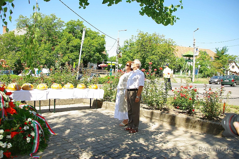 koszoruzas_2009_044.jpg