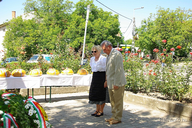 koszoruzas_2009_048.jpg