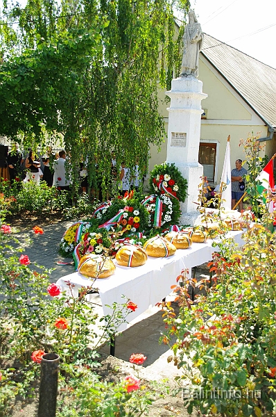 koszoruzas_2009_062.jpg