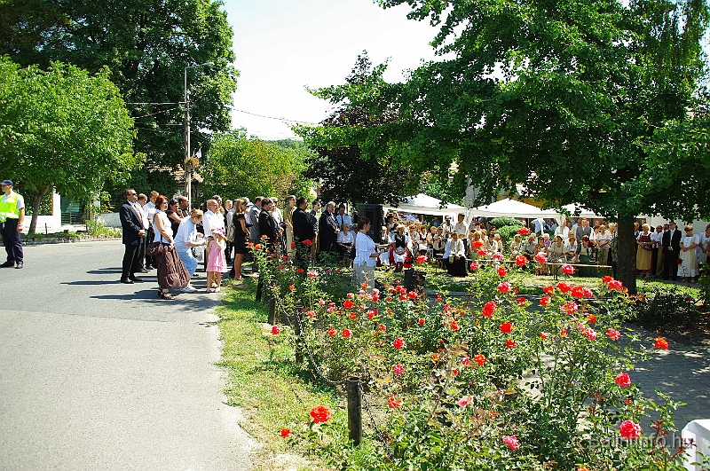 koszoruzas_2009_063.jpg