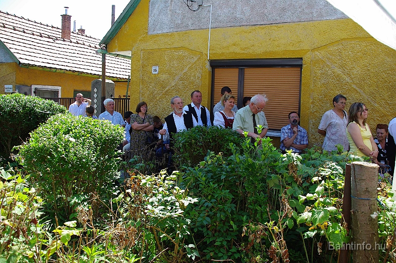 koszoruzas_2009_072.jpg