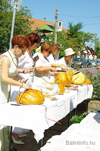 koszoruzas_2009_073.jpg
