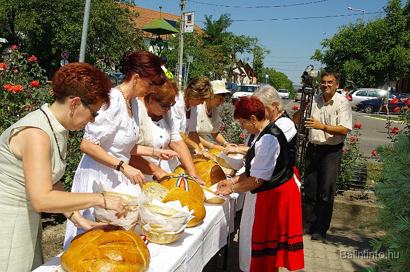 koszoruzas_2009_076.jpg