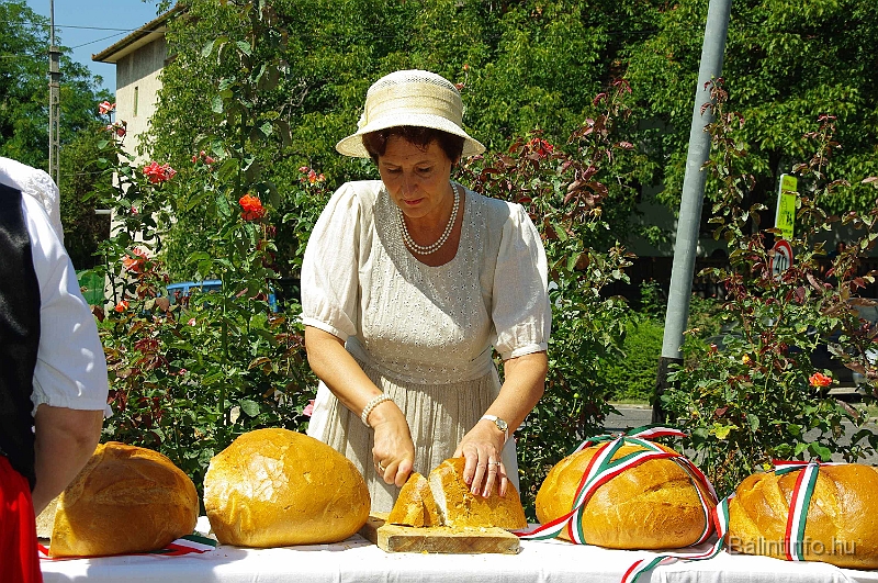 koszoruzas_2009_078.jpg