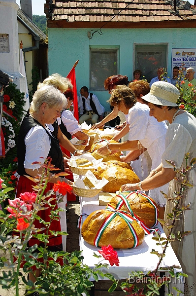 koszoruzas_2009_080.jpg