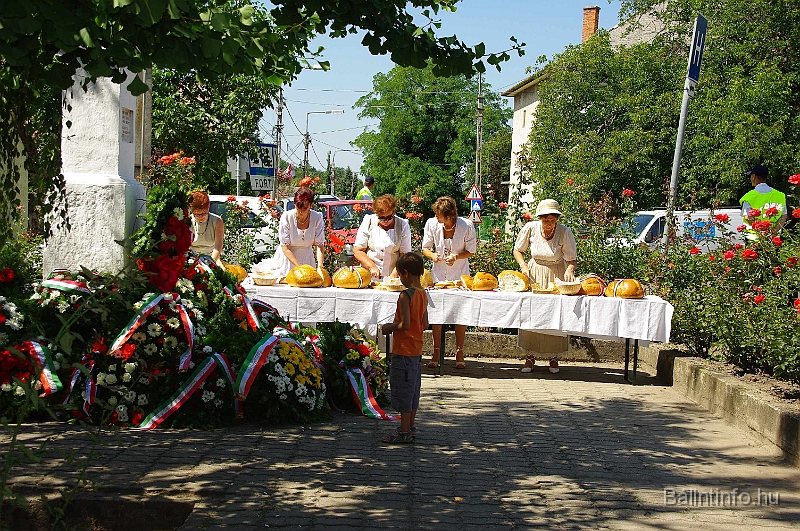 koszoruzas_2009_085.jpg