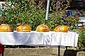 koszoruzas_2009_022