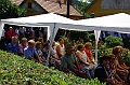 koszoruzas_2009_026