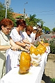 koszoruzas_2009_074