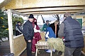 torokbalinti_betlehem_069