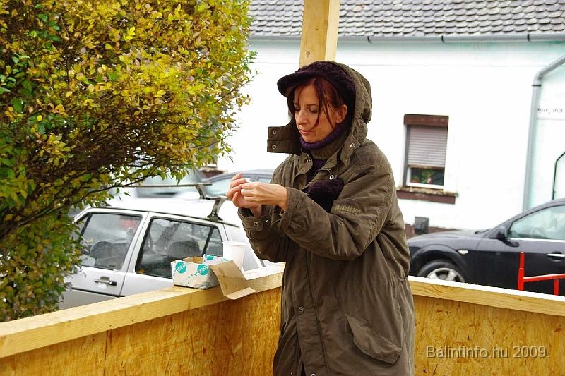 torokbalint_betlehemallitas_2009_042.jpg