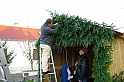 torokbalint_betlehemallitas_2009_055
