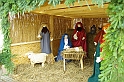 torokbalint_betlehemallitas_2009_064