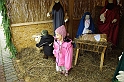 torokbalint_betlehemallitas_2009_070