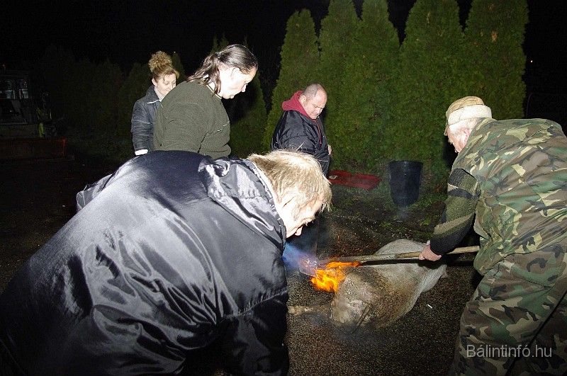 disznovagas_2008_021.jpg