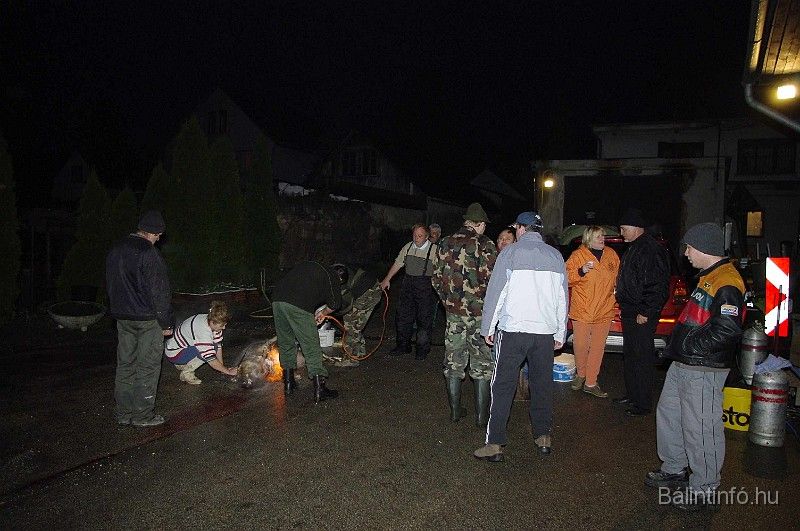 disznovagas_2008_028.jpg