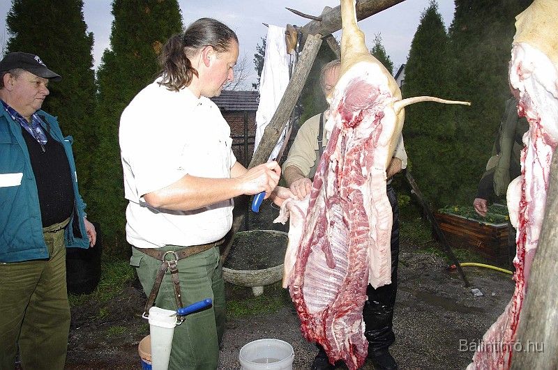 disznovagas_2008_062.jpg
