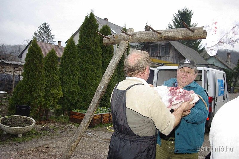 disznovagas_2008_081.jpg