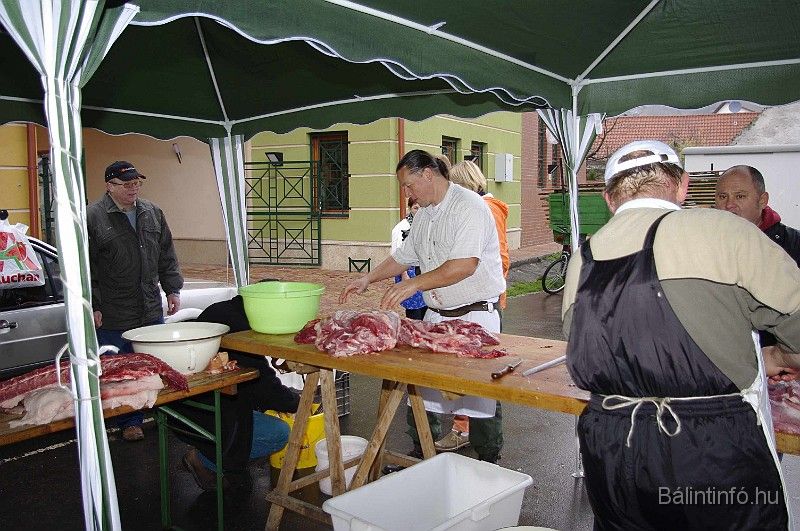 disznovagas_2008_092.jpg