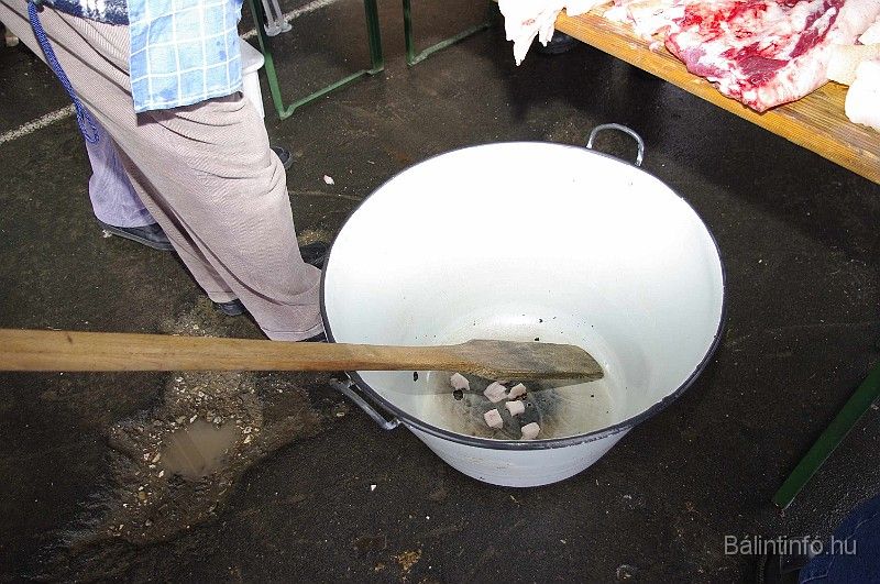 disznovagas_2008_103.jpg