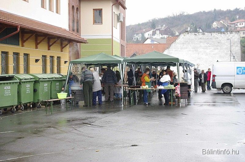 disznovagas_2008_120.jpg