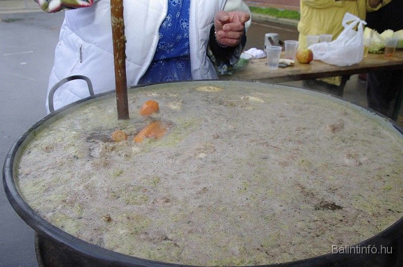 disznovagas_2008_133.jpg