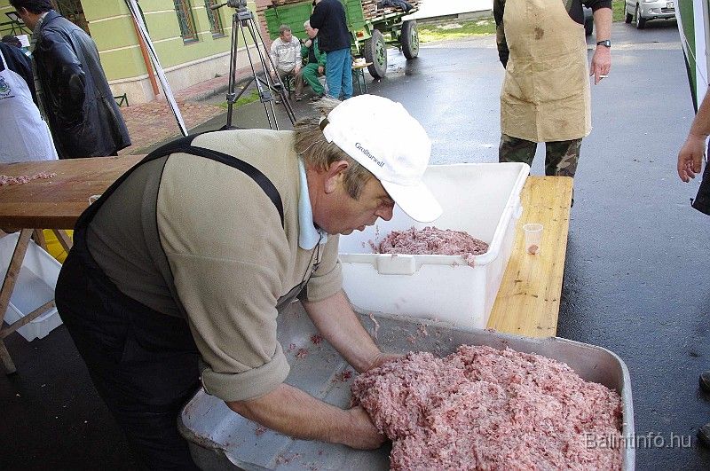 disznovagas_2008_136.jpg