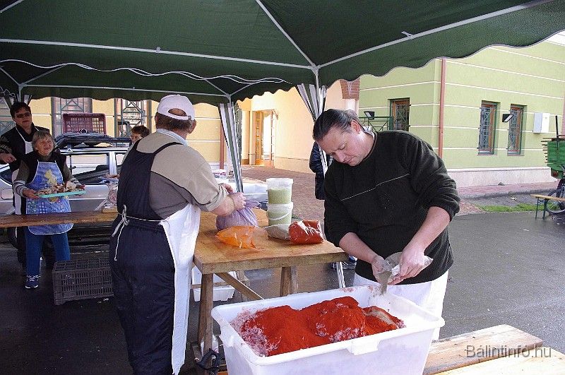 disznovagas_2008_153.jpg