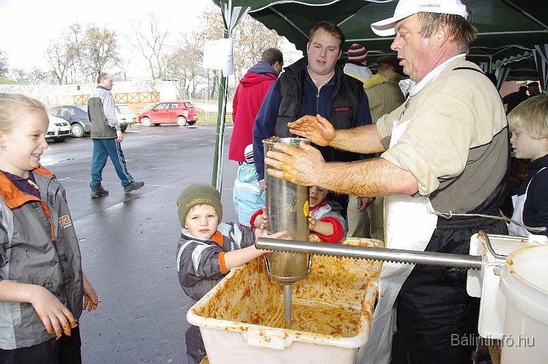 disznovagas_2008_166.jpg