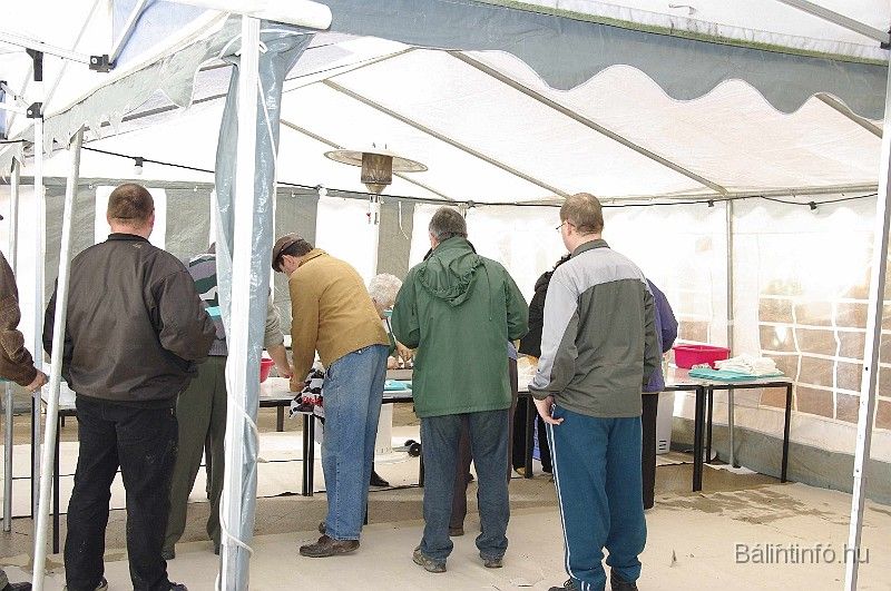 disznovagas_2008_201.jpg