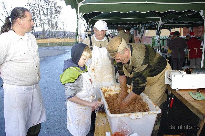 disznovagas_2008_215.jpg
