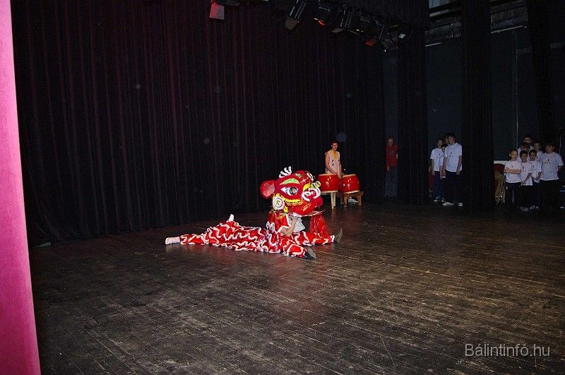 disznovagas_2008_267.jpg