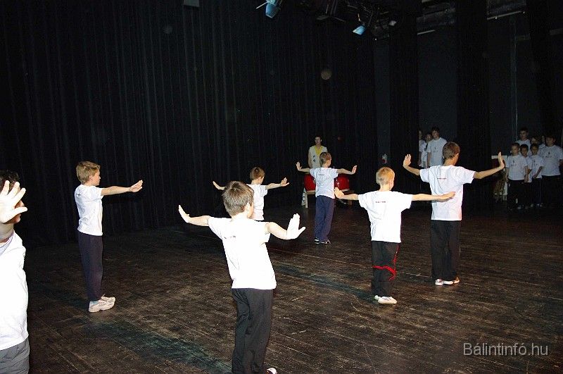 disznovagas_2008_277.jpg