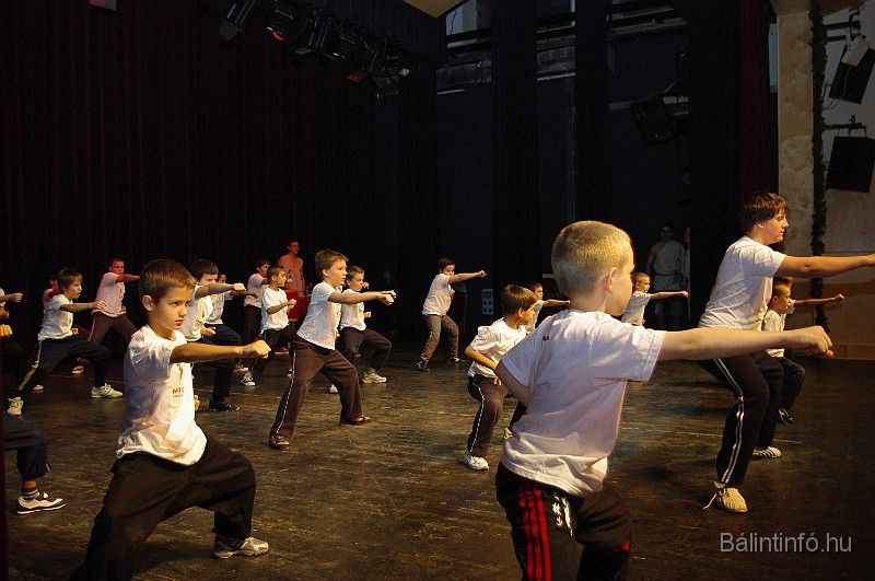 disznovagas_2008_289.jpg