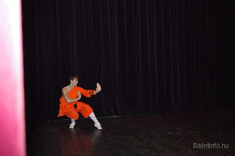 disznovagas_2008_301.jpg