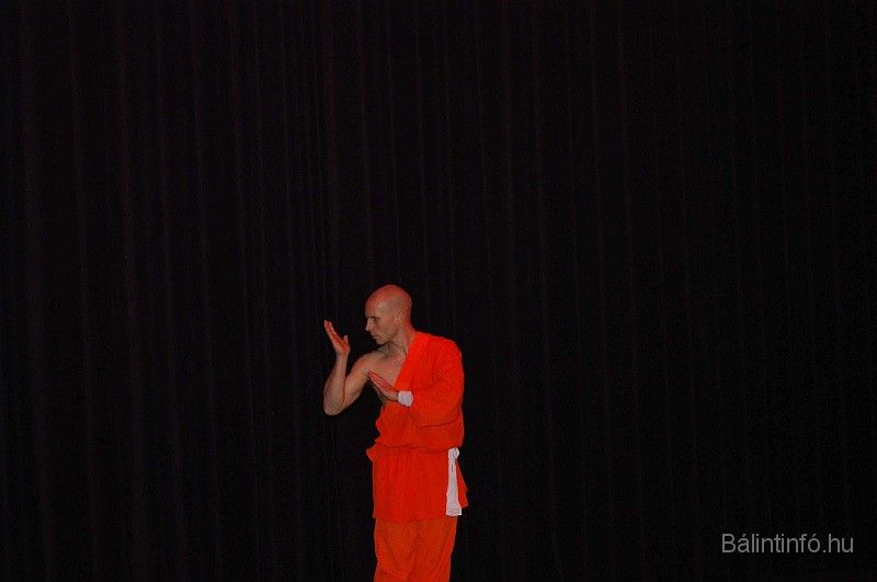 disznovagas_2008_308.jpg