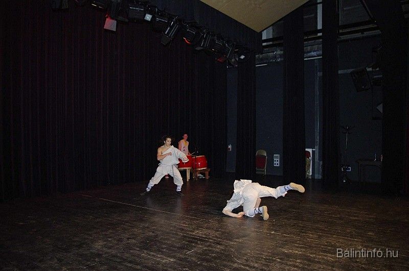 disznovagas_2008_311.jpg