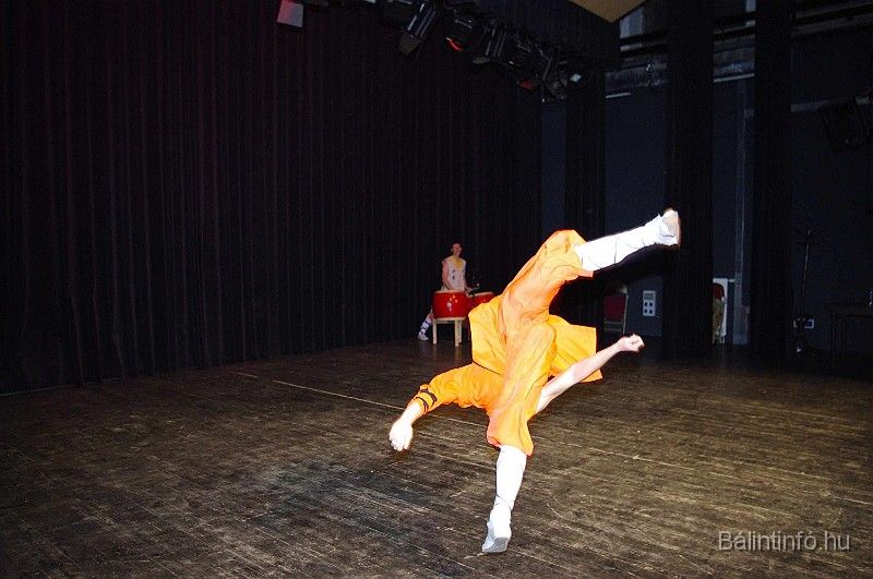 disznovagas_2008_316.jpg
