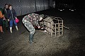 disznovagas_2008_005