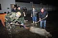 disznovagas_2008_022