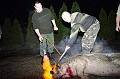 disznovagas_2008_025