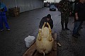 disznovagas_2008_049