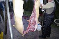 disznovagas_2008_059